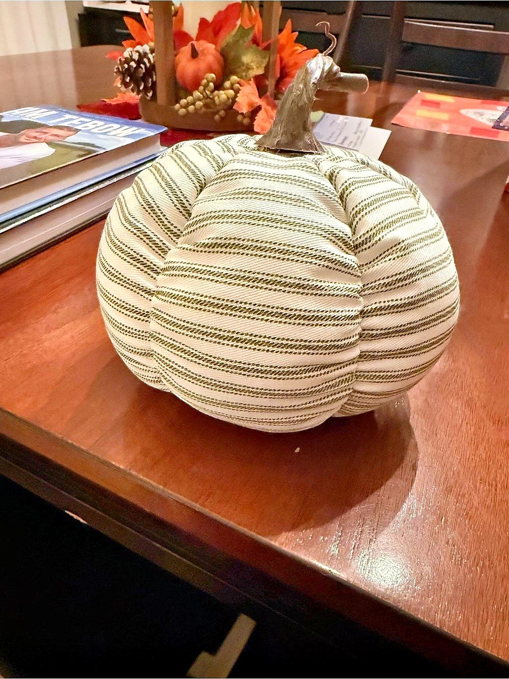 Striped Fabric Pumpkin Decor in White & Green